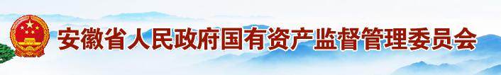 安徽省人民政府国有资产管理监督委员会